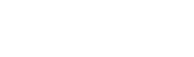 Verra logo